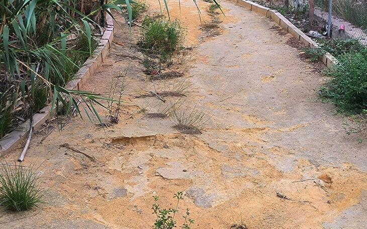 Huertos Urbanos en Benidorm